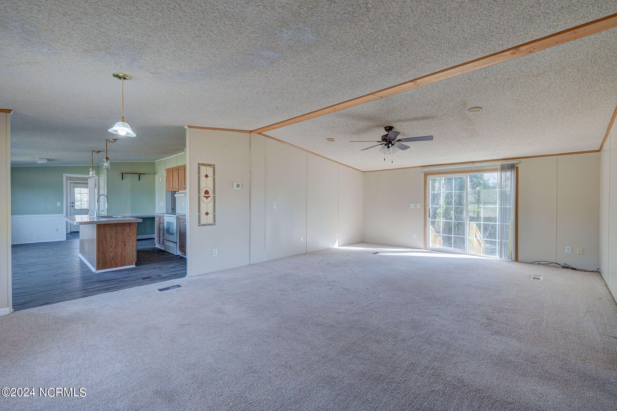 4105 Shiloh Road Willard, NC 28478 - Photo 3 of 37 4105ShilohEdit-12
