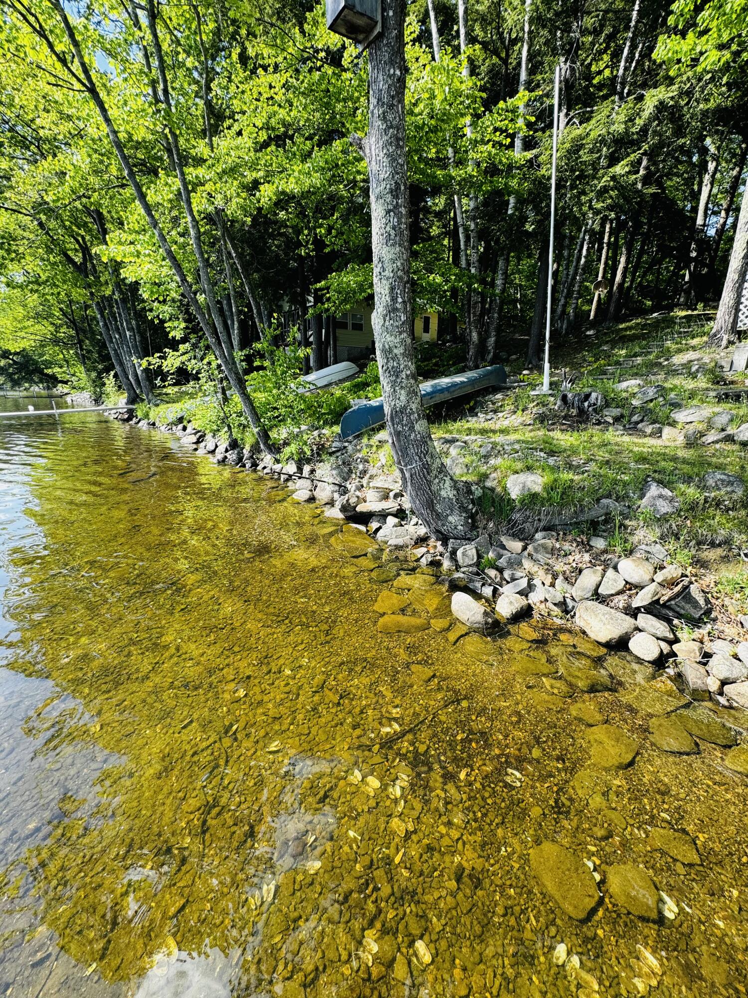 187 Black Point Road St. Albans, ME 04971 - Photo 57 of 57 IMG_5892