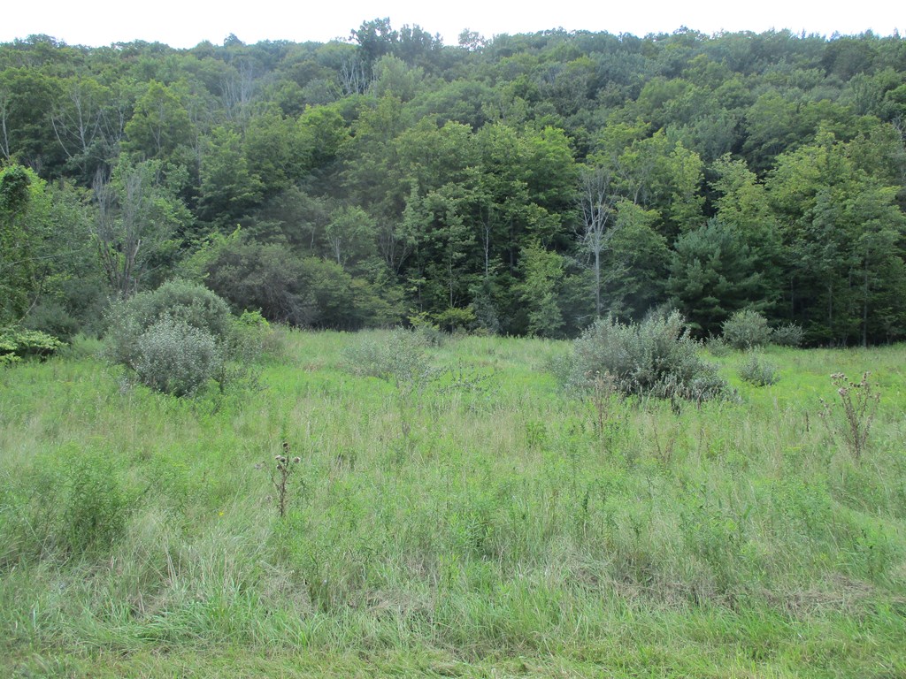 161 Lewis Road Southport, NY 14871 - Photo 2 of 4