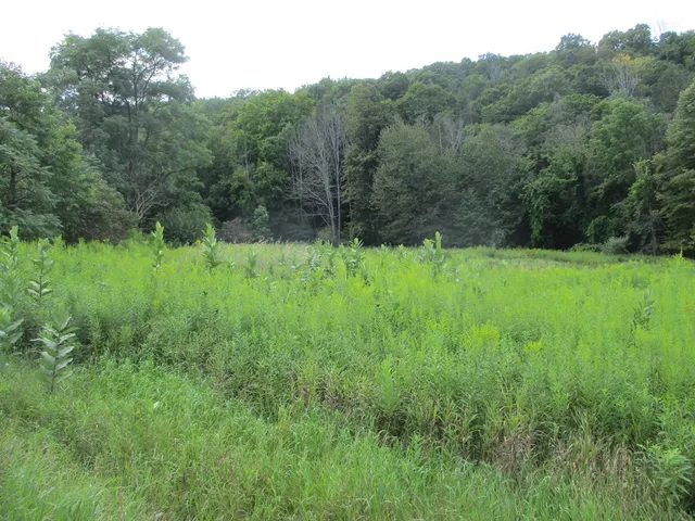 $33,000 | 161 Lewis Road, Southport, NY 14871