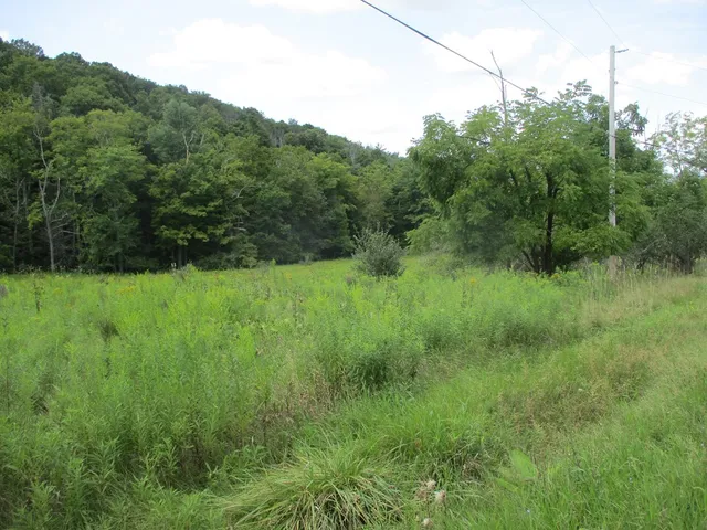 $33,000 | 161 Lewis Road, Southport, NY 14871