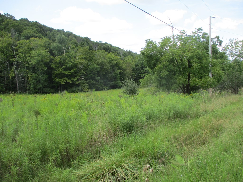 161 Lewis Road Southport, NY 14871 - Photo 4 of 4