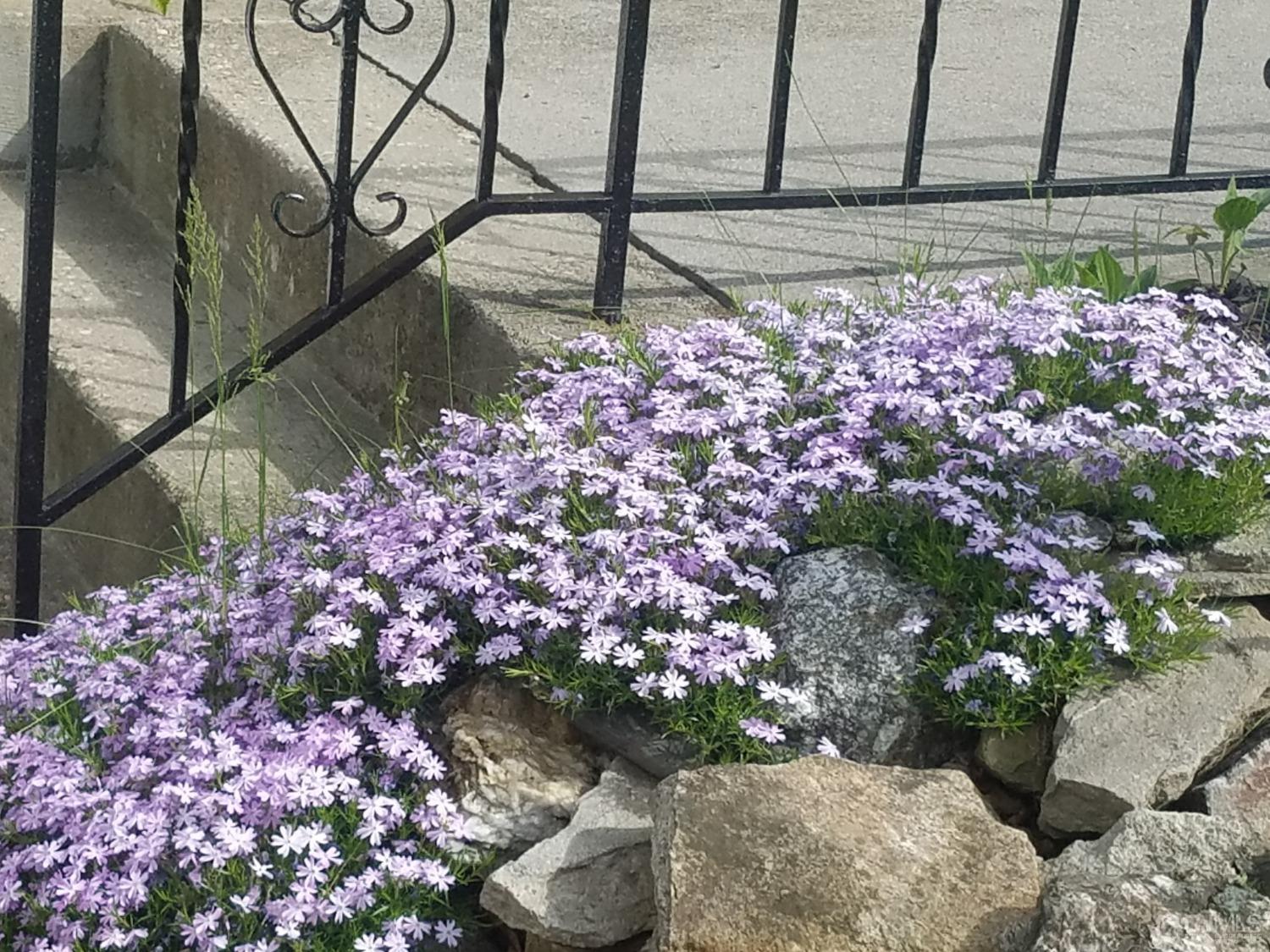 190 McFarlane Road Colonia, NJ 07067 - Photo 5 of 32 a bunch of flowers are in a garden