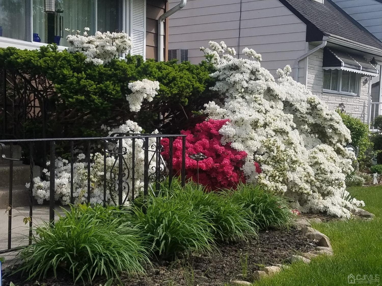 190 McFarlane Road Colonia, NJ 07067 - Photo 7 of 32 a front view of a house with lots of flower and flowers