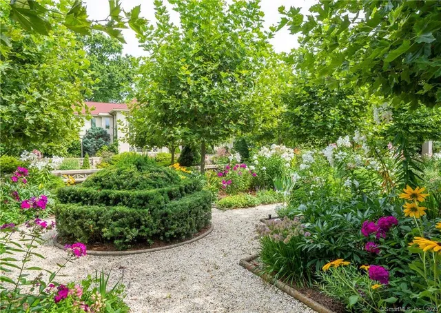 a view of a garden with a flower garden