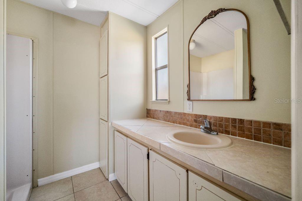 3648 Fox Ridge Boulevard Wesley Chapel, FL 33543 - Photo 6 of 30 a bathroom with a sink a vanity and a mirror