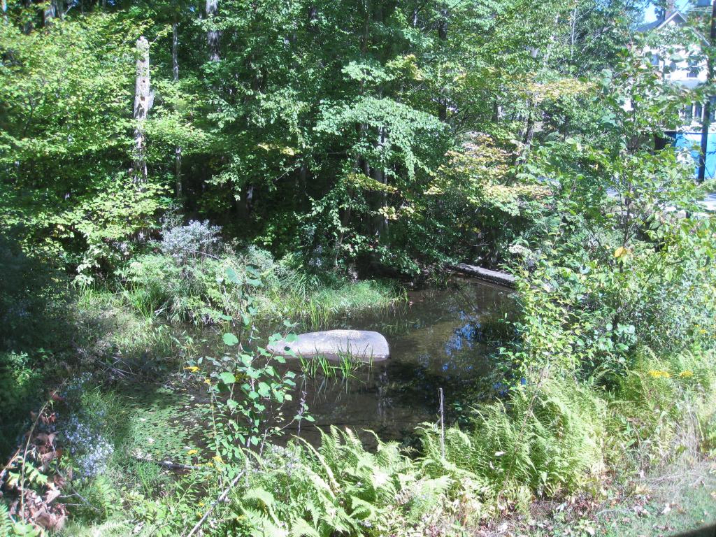 194 Old Hancock Road Antrim, NH 03440 - Photo 9 of 29