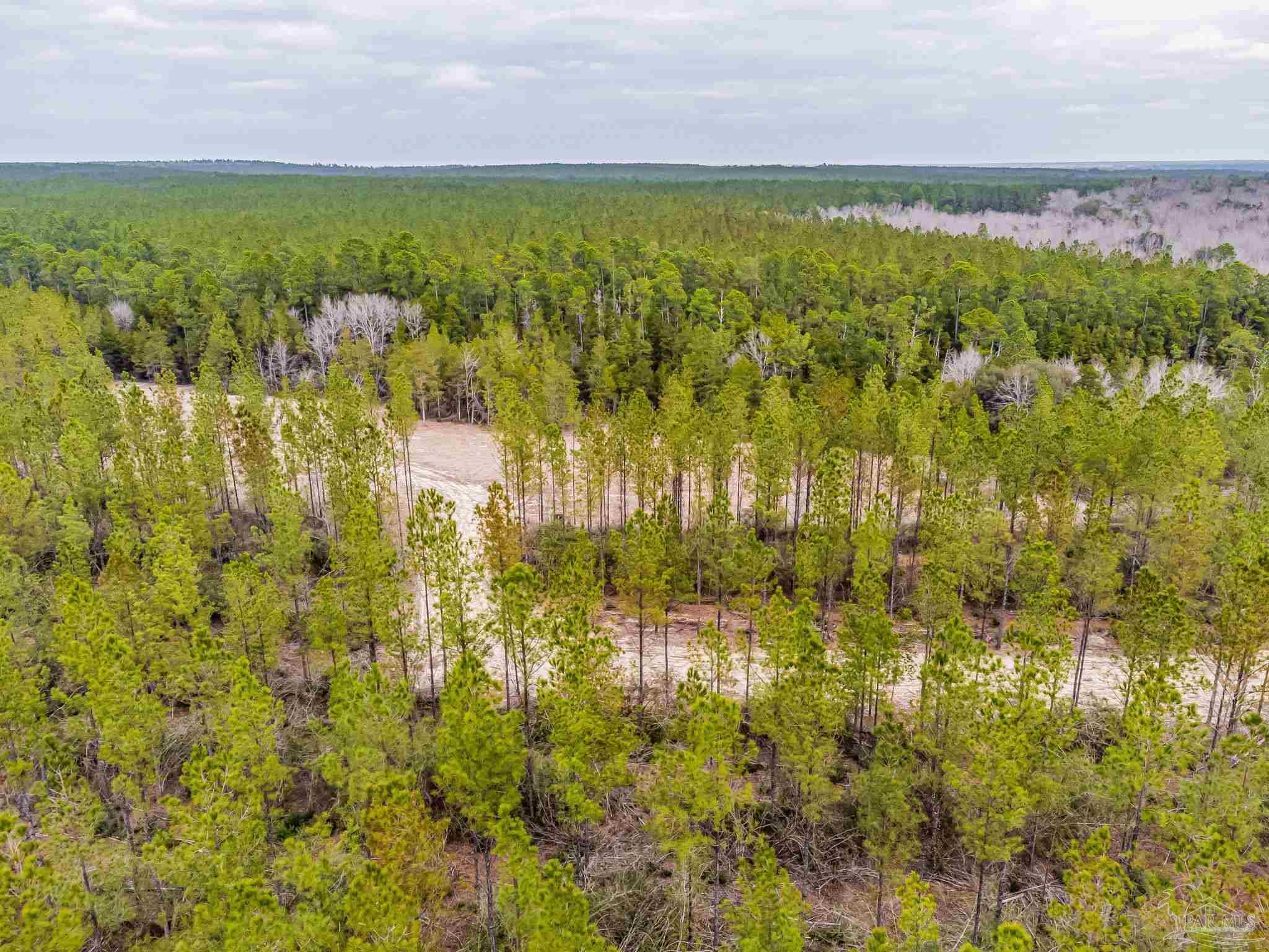 9318 Indian Ford Road, Unit PARCEL B 22 45 / ACRES (APPROXIMATELY) Milton, FL 32570 - Photo 7 of 36