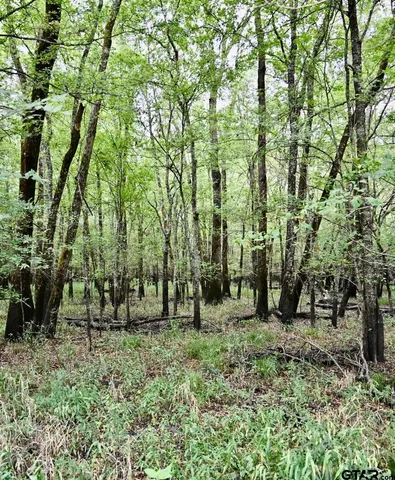 $825,100 | 71 St Talco Tx 75487, Talco, TX 75487