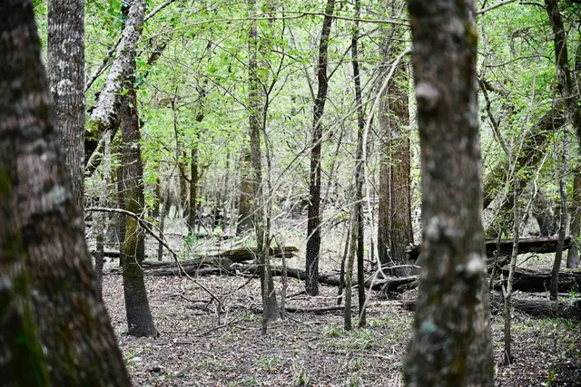 $825,100 | 71 St Talco Tx 75487, Talco, TX 75487