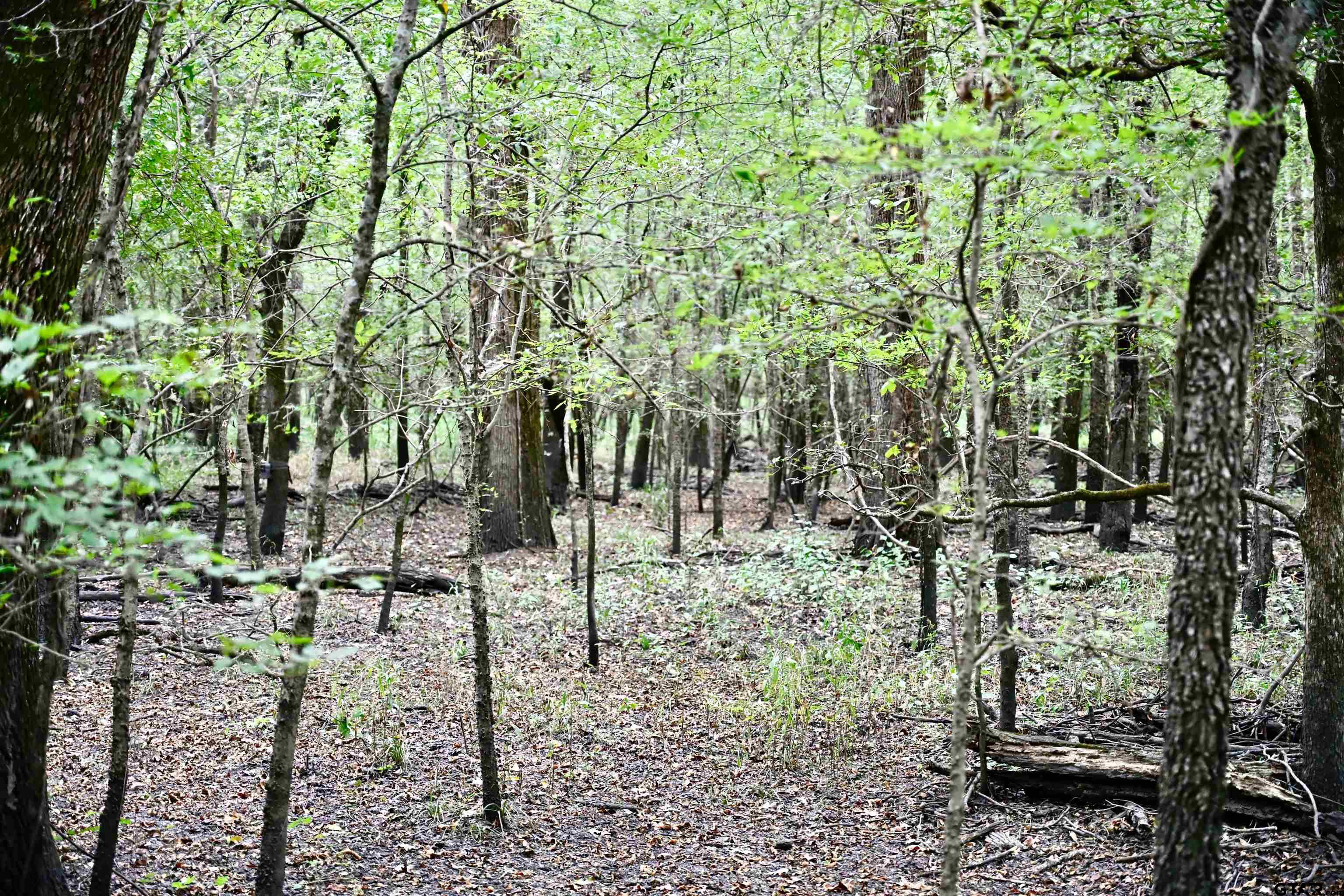 71 St Talco Tx 75487 Talco, TX 75487 - Photo 3 of 46