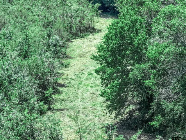 $825,100 | 71 St Talco Tx 75487, Talco, TX 75487