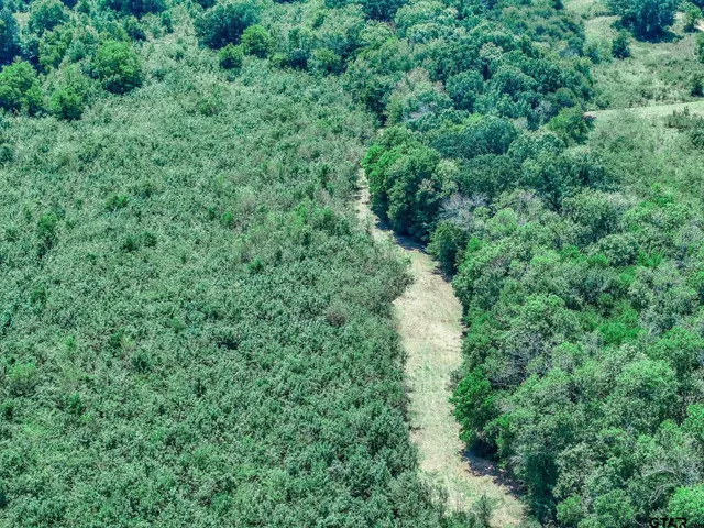 $825,100 | 71 St Talco Tx 75487, Talco, TX 75487