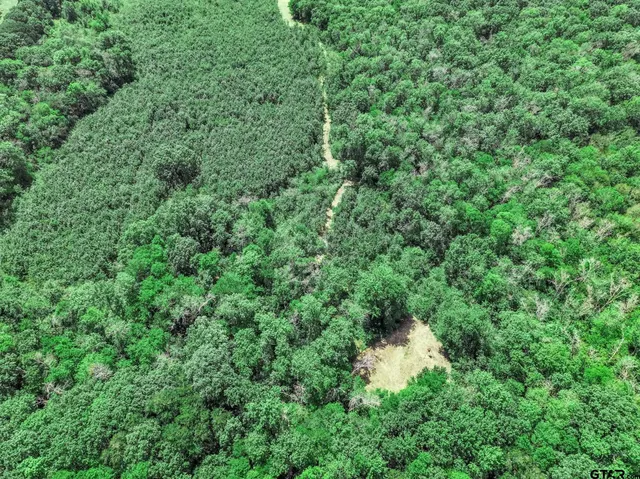 $825,100 | 71 St Talco Tx 75487, Talco, TX 75487