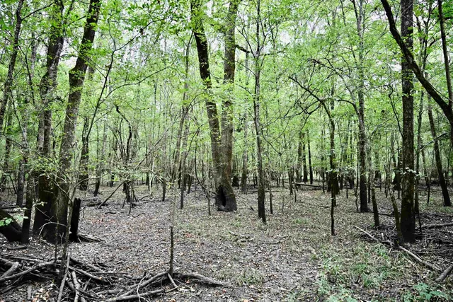 $825,100 | 71 St Talco Tx 75487, Talco, TX 75487