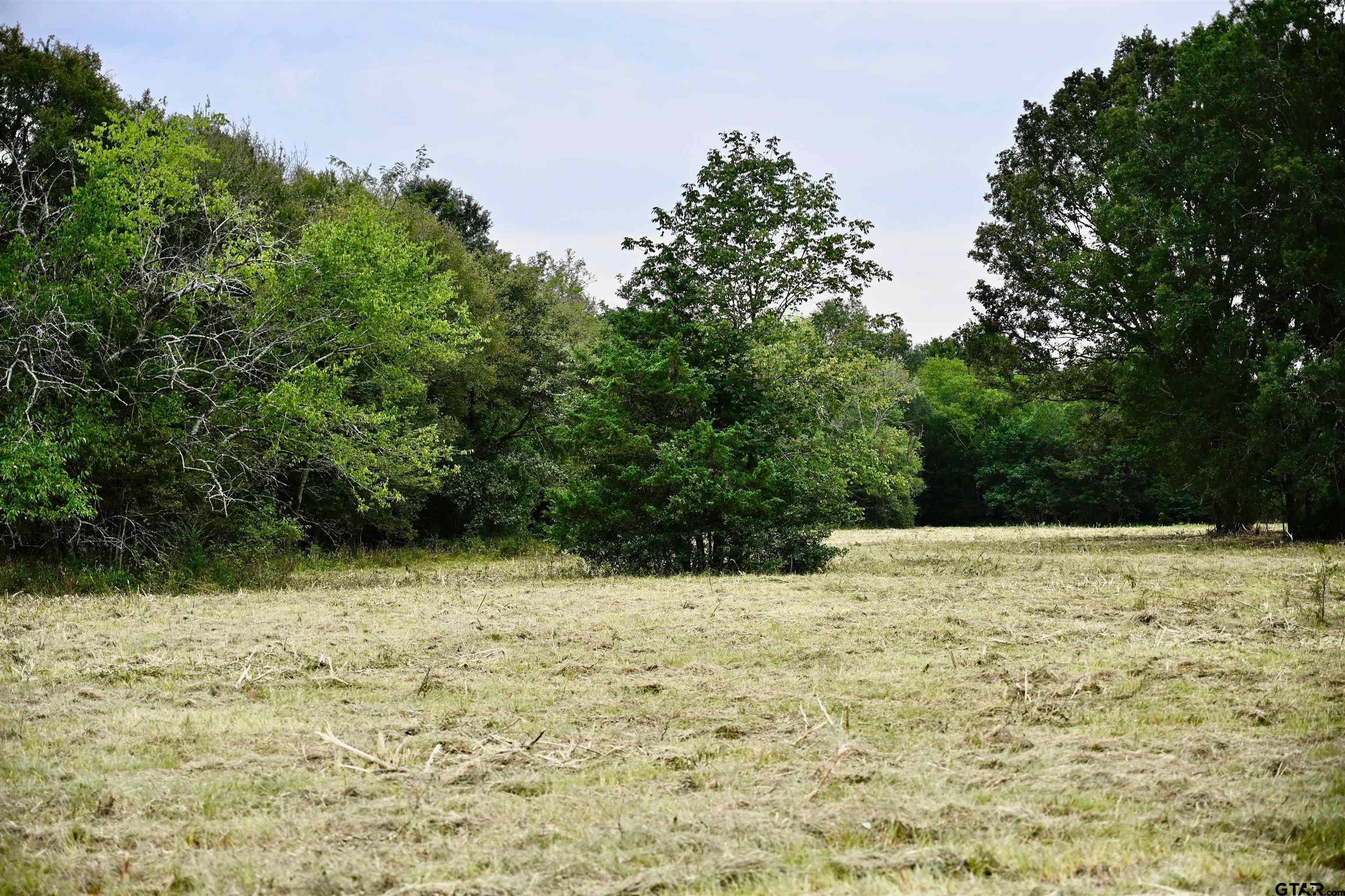 71 St Talco Tx 75487 Talco, TX 75487 - Photo 7 of 46