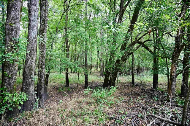 $825,100 | 71 St Talco Tx 75487, Talco, TX 75487