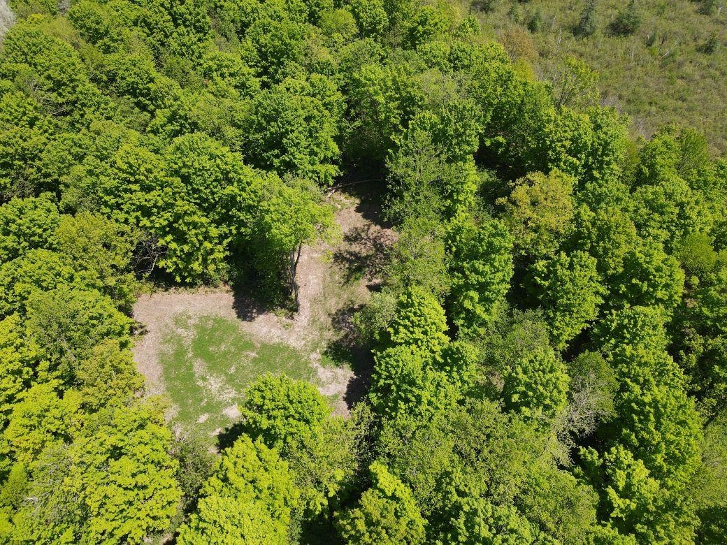 W17810 Eland Road Wittenberg, WI 54499 - Photo 27 of 89