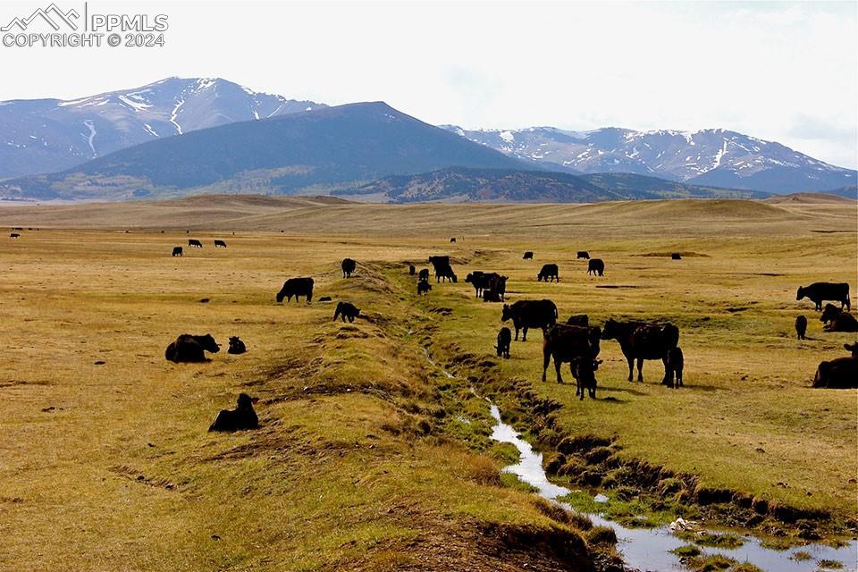 21103 Elkhorn Road Como, CO 80432 - Photo 11 of 11 a view of an ocean and beach