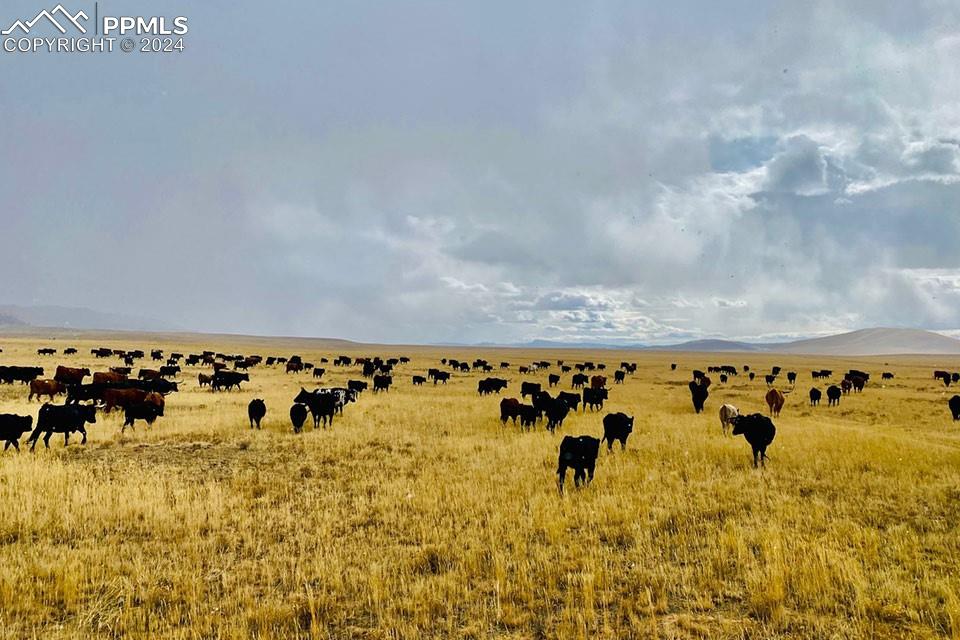 21103 Elkhorn Road Como, CO 80432 - Photo 8 of 11