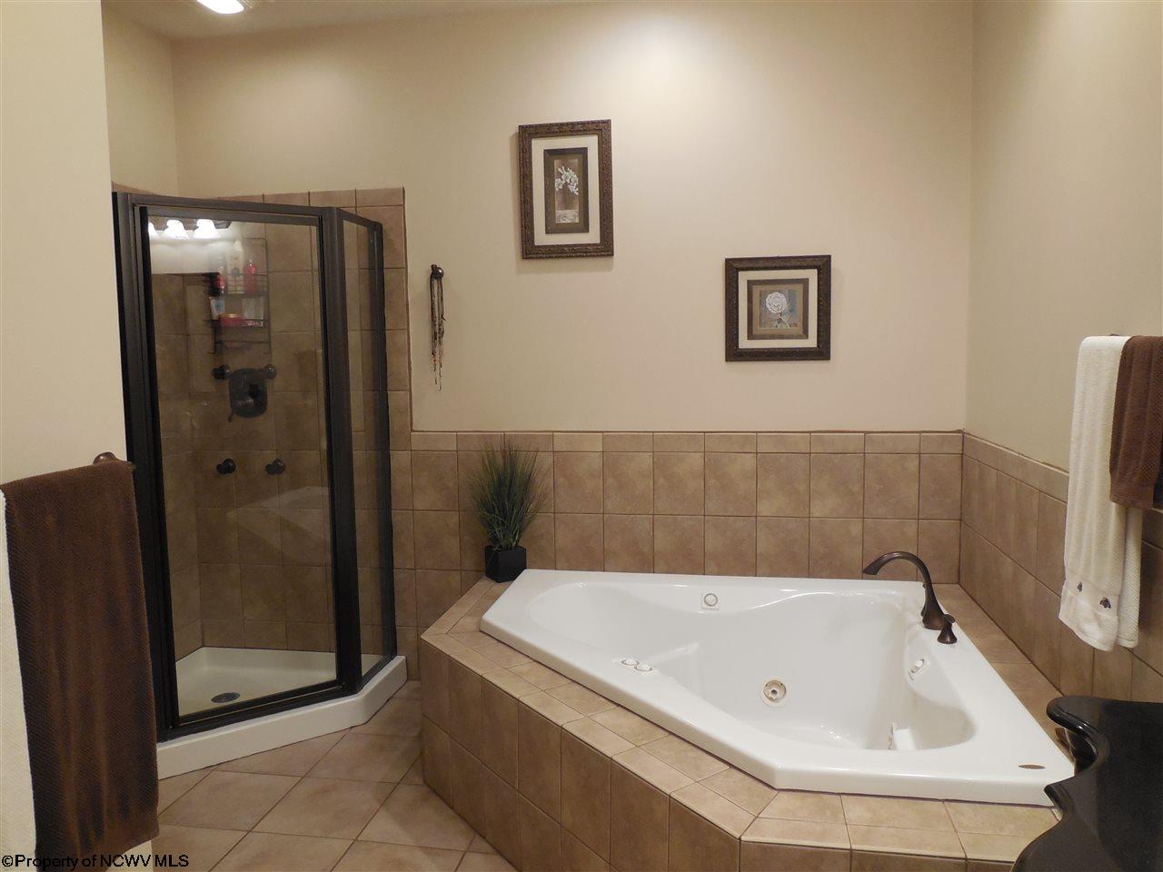 347 Dudley Fork Road Mannington, WV 26582 - Photo 9 of 20 Gallery Image 9