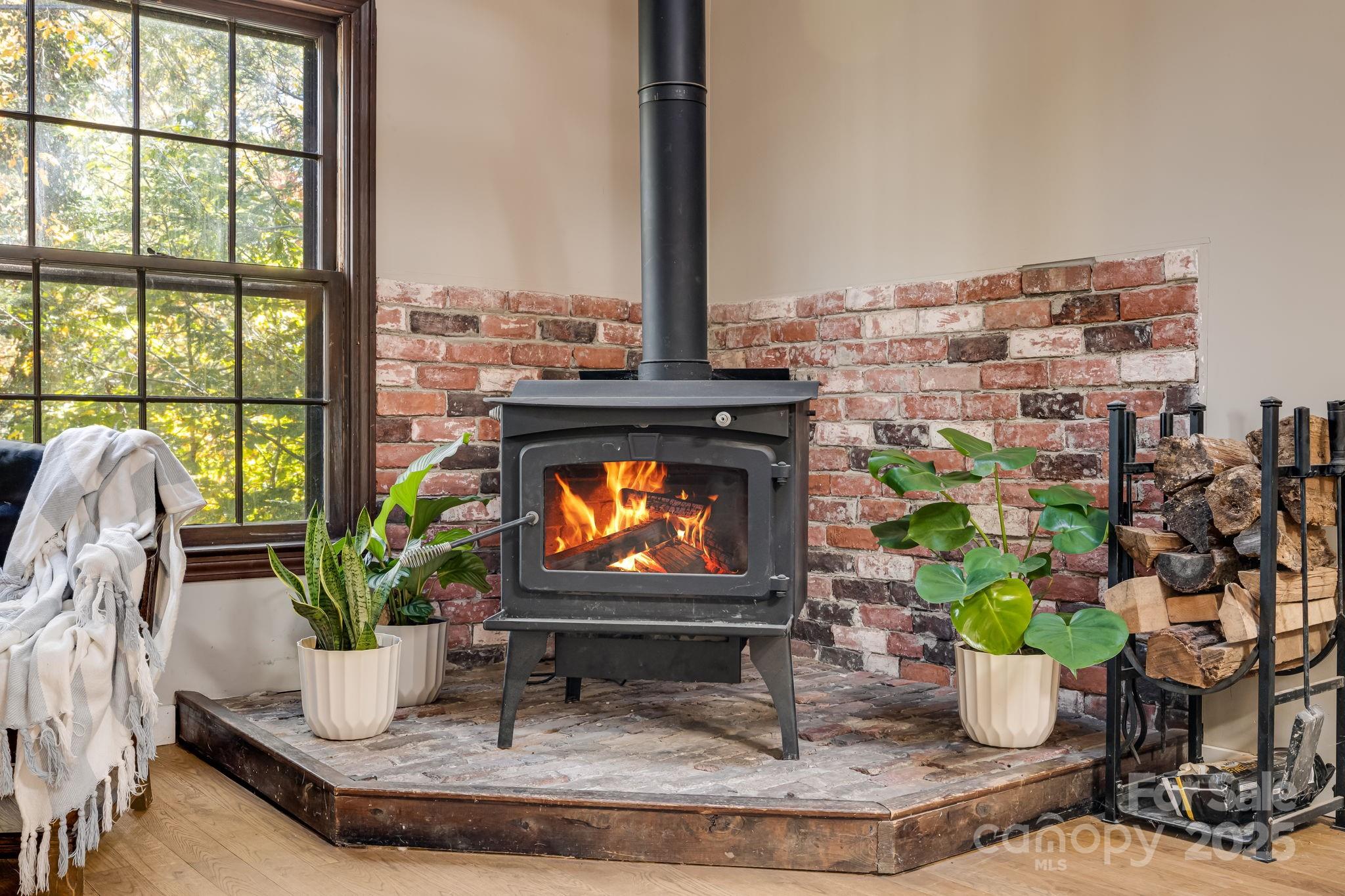 203 Davis Mountain Road Laurel Park, NC 28739 - Photo 3 of 37 a living room with fireplace furniture and a potted plant
