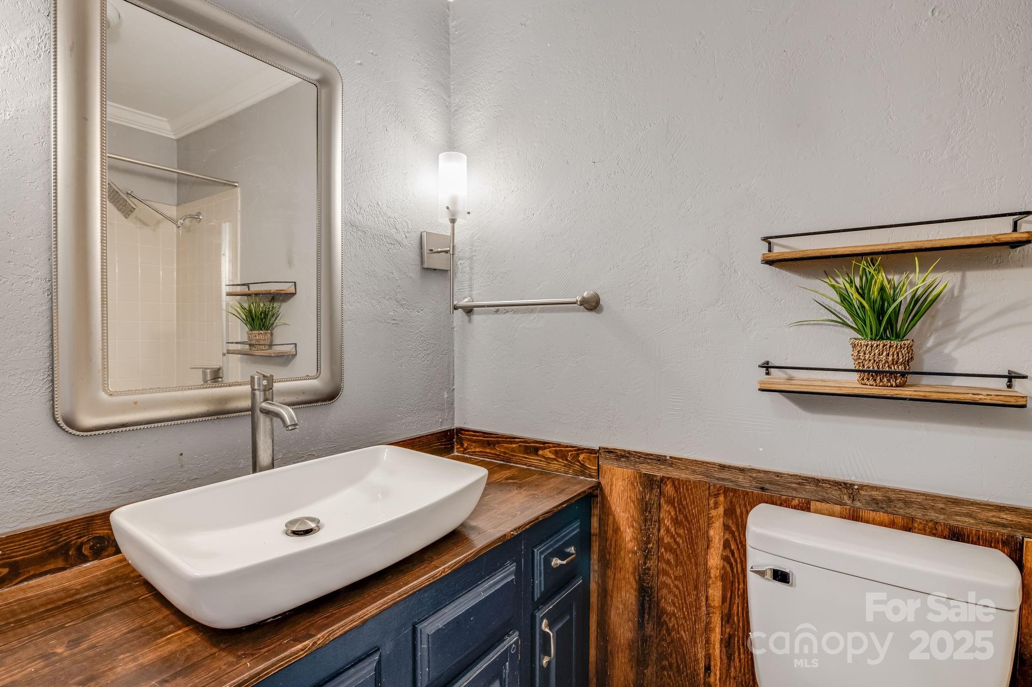 203 Davis Mountain Road Laurel Park, NC 28739 - Photo 10 of 37 a bathroom with a sink a mirror and a toilet