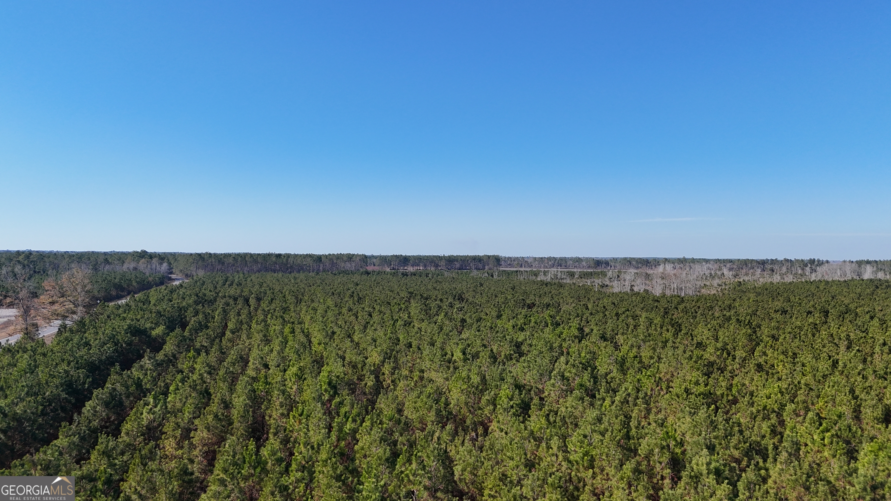 88-003a Pine Level Church Road Alma, GA 31539 - Photo 13 of 19 a view of a green field with lots of bushes