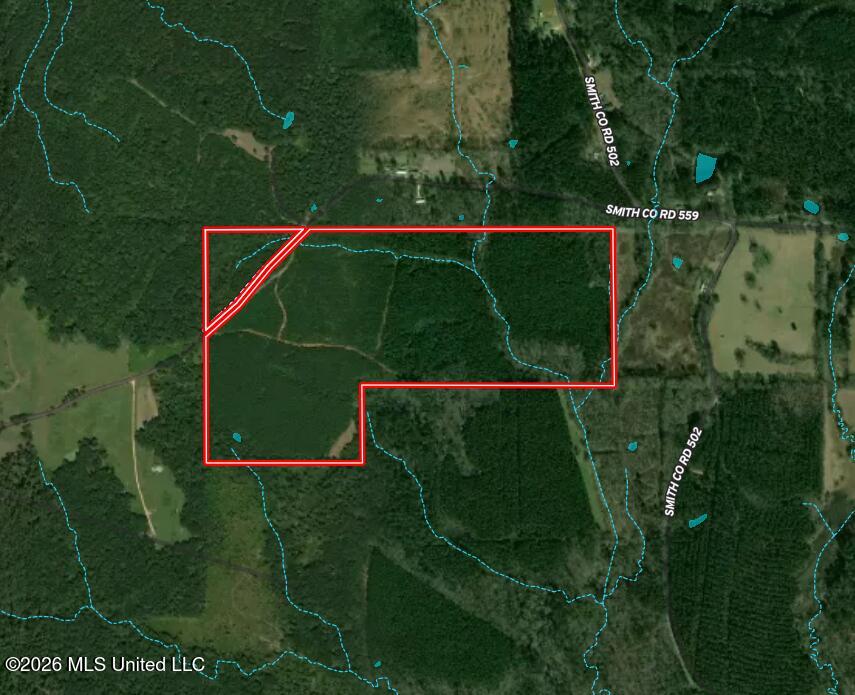 Smith County Road Pulaski, MS 39152 - Photo 2 of 47 Screenshot 2026-08-05 220711
