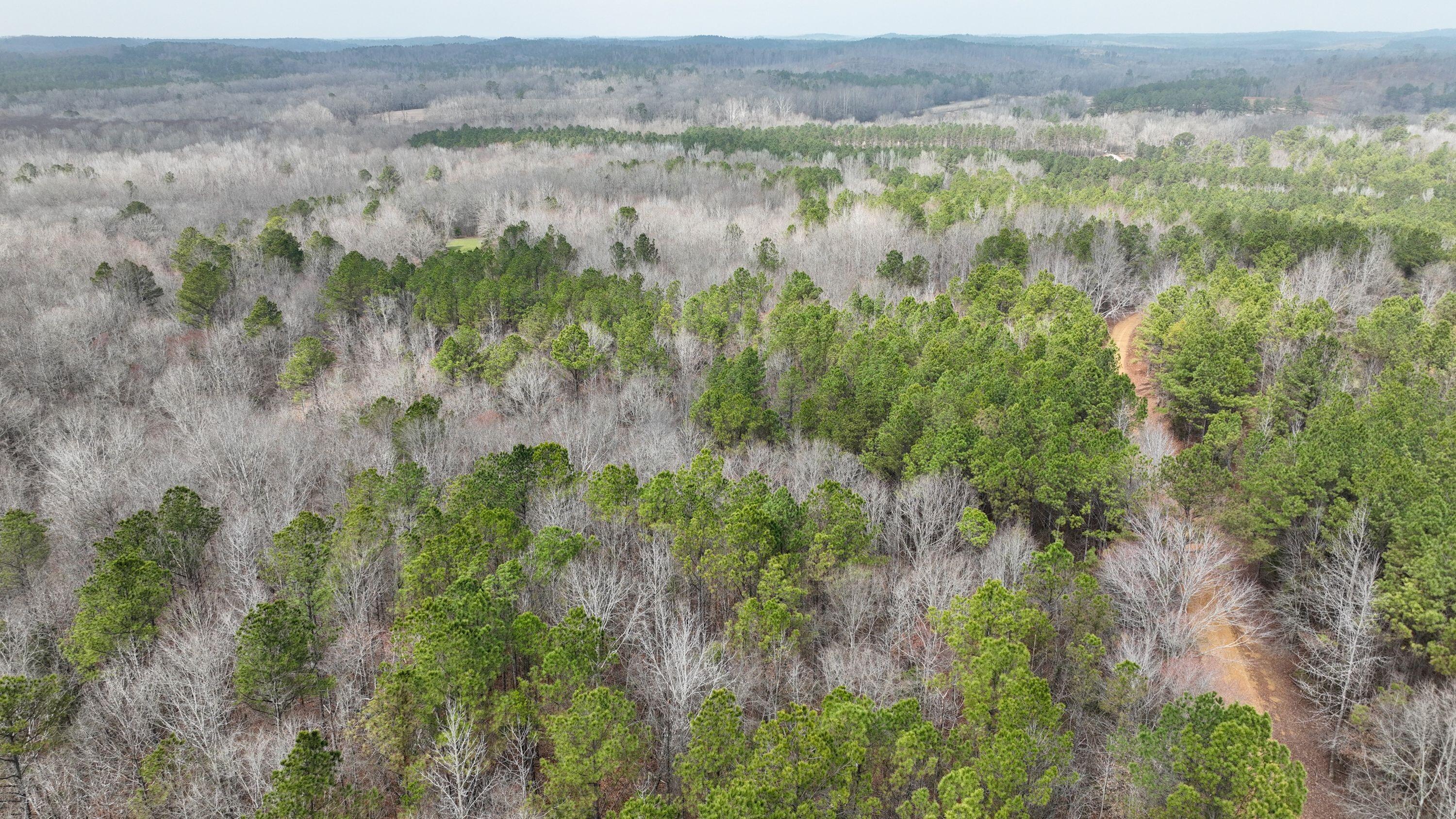 731 Wright Road Tremont, MS 38876 - Photo 37 of 76 Gallery Image 37