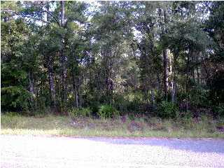 Lot 78 Mallet Bayou Road Freeport, FL 32439 - Photo 1 of 2 a view of backyard with green space