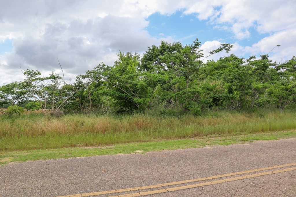 -36 Acres Rice Road Dothan, AL 36301 - Photo 2 of 6
