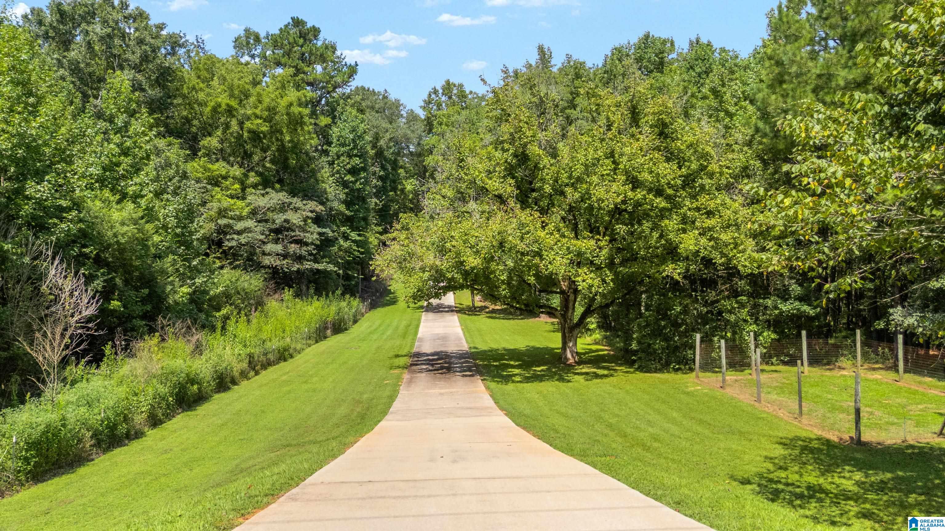 2339 Spring Creek Road Montevallo, AL 35115 - Photo 54 of 79 Gallery Image 54