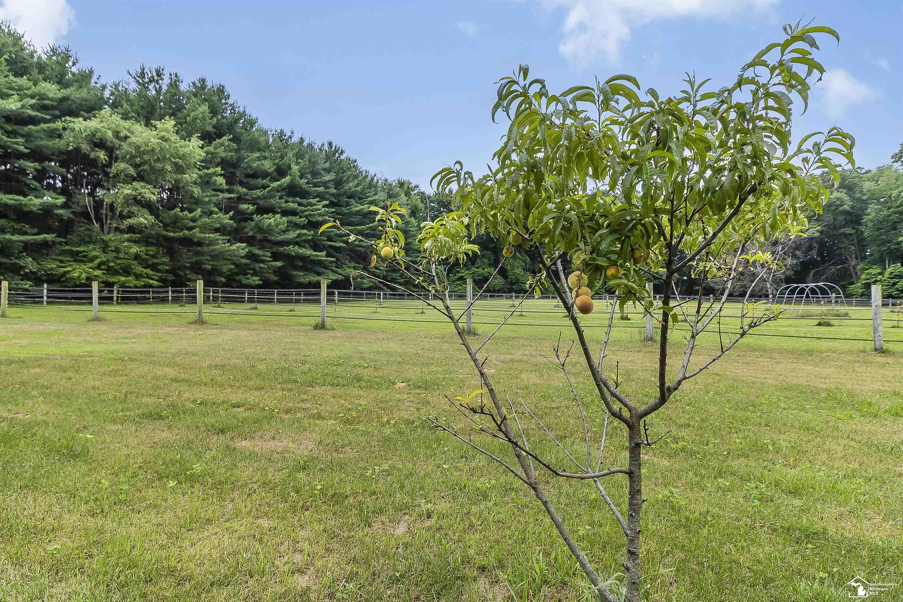 2600 Meanwell Road Petersburg, MI 49270 - Photo 40 of 44