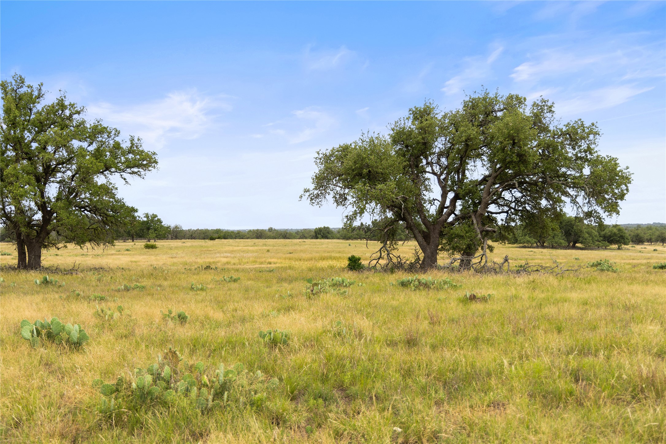3049 Reservation Road Harper, TX 78631 - Photo 40 of 40 a yard with swimming pool and trees