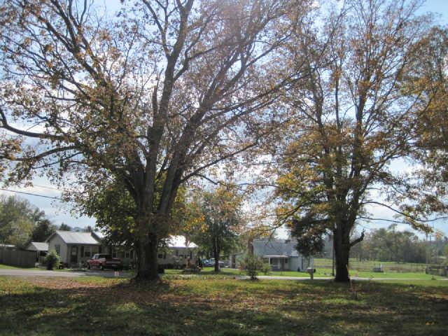 15 Goshen Road Lebanon, TN 37087 - Photo 3 of 12 Nice Neighborhood.
