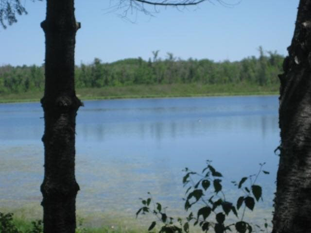 26906 Bluebill Road Garrison, MN 56450 - Photo 2 of 17 Gallery Image 2