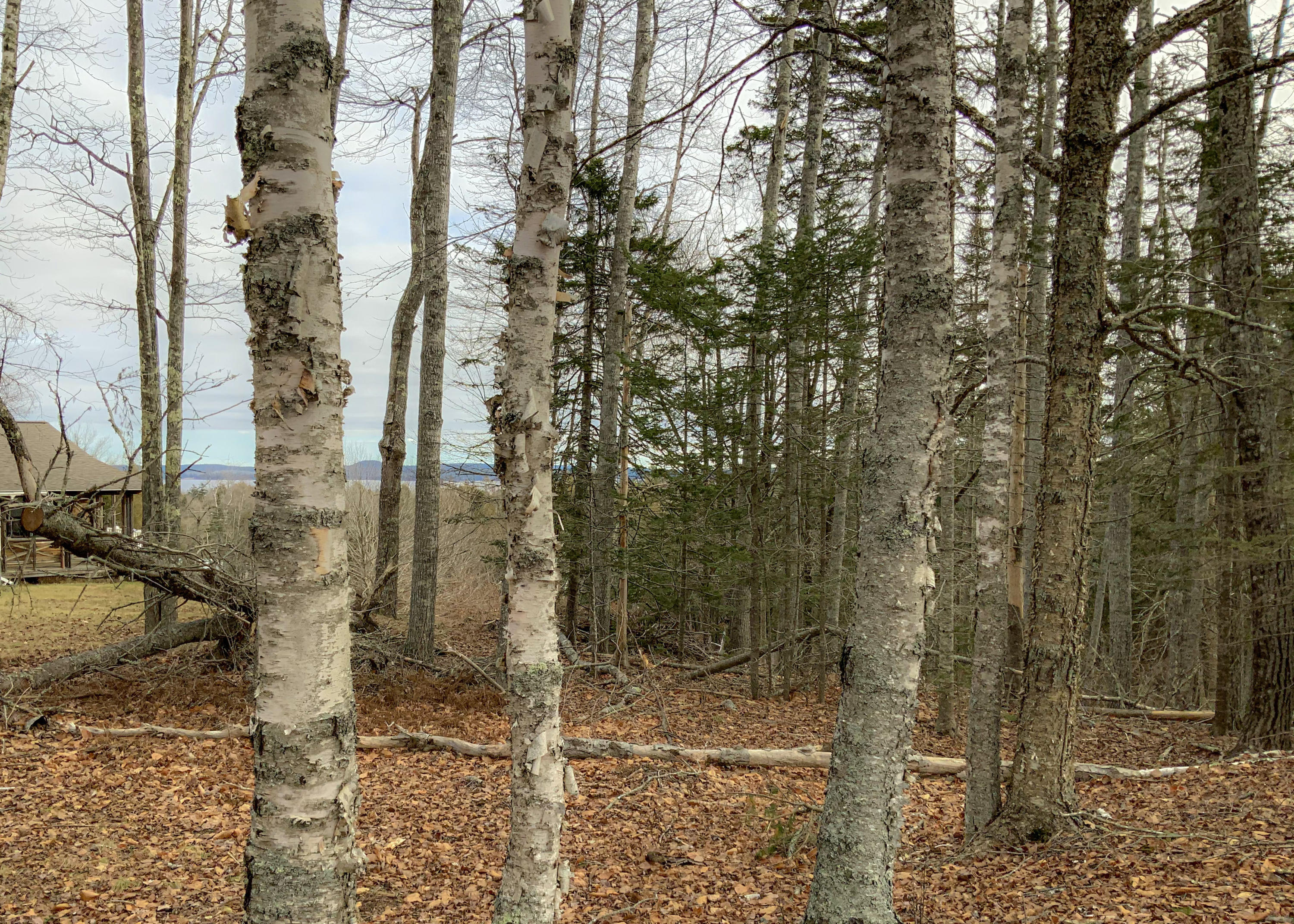 0 Main Road Islesboro, ME 04848 - Photo 28 of 44 45-IMG_0255