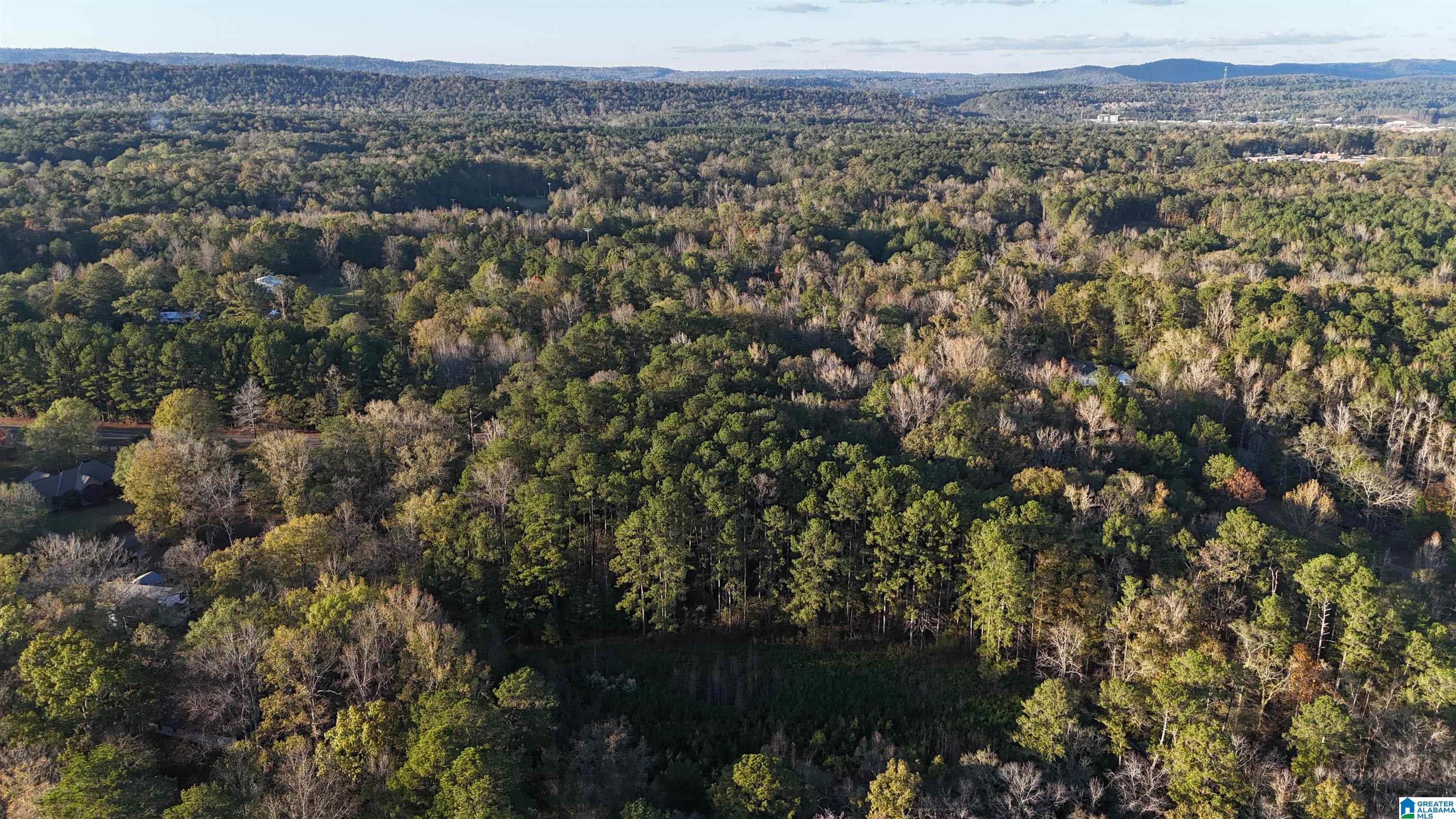 1 Highway 39, Unit 1 Chelsea, AL 35043 - Photo 1 of 6