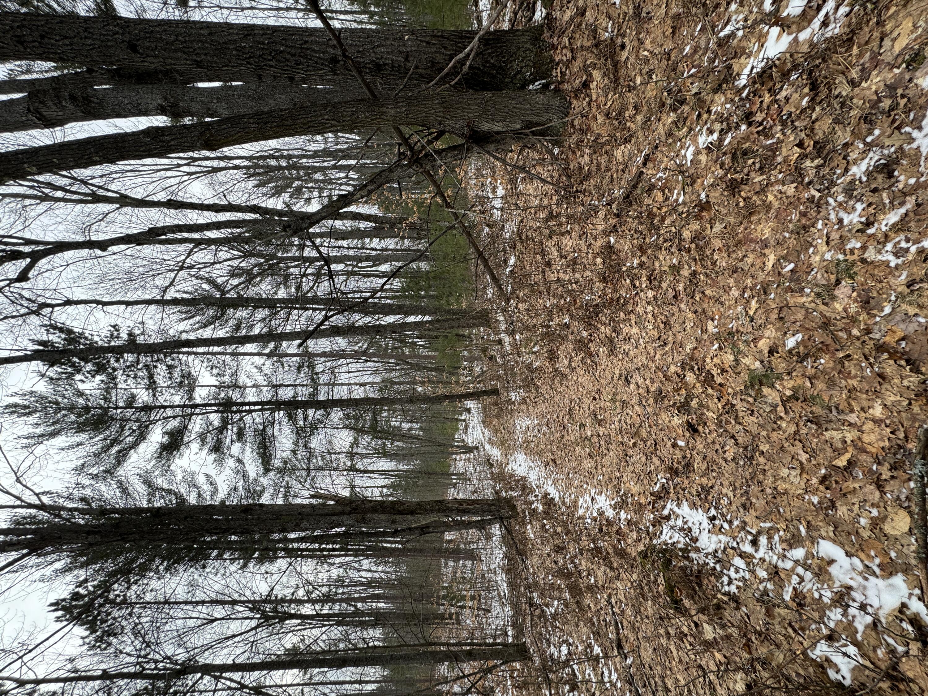 3010 Mt Tom Road Mio, MI 48647 - Photo 111 of 134 IMG_9178