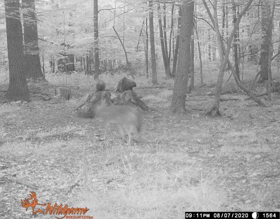 3010 Mt Tom Road Mio, MI 48647 - Photo 134 of 134 image