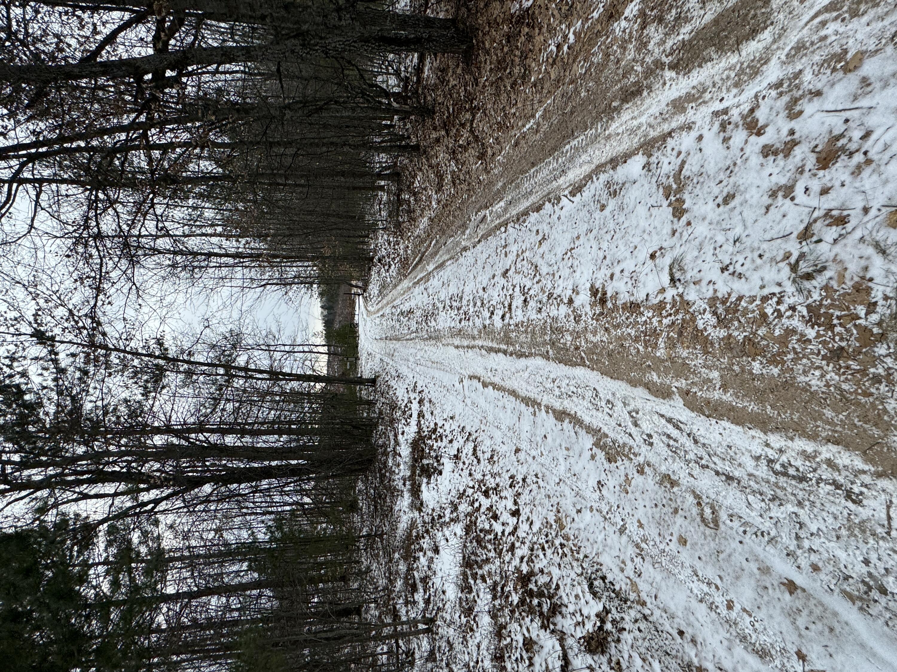 3010 Mt Tom Road Mio, MI 48647 - Photo 64 of 134 4