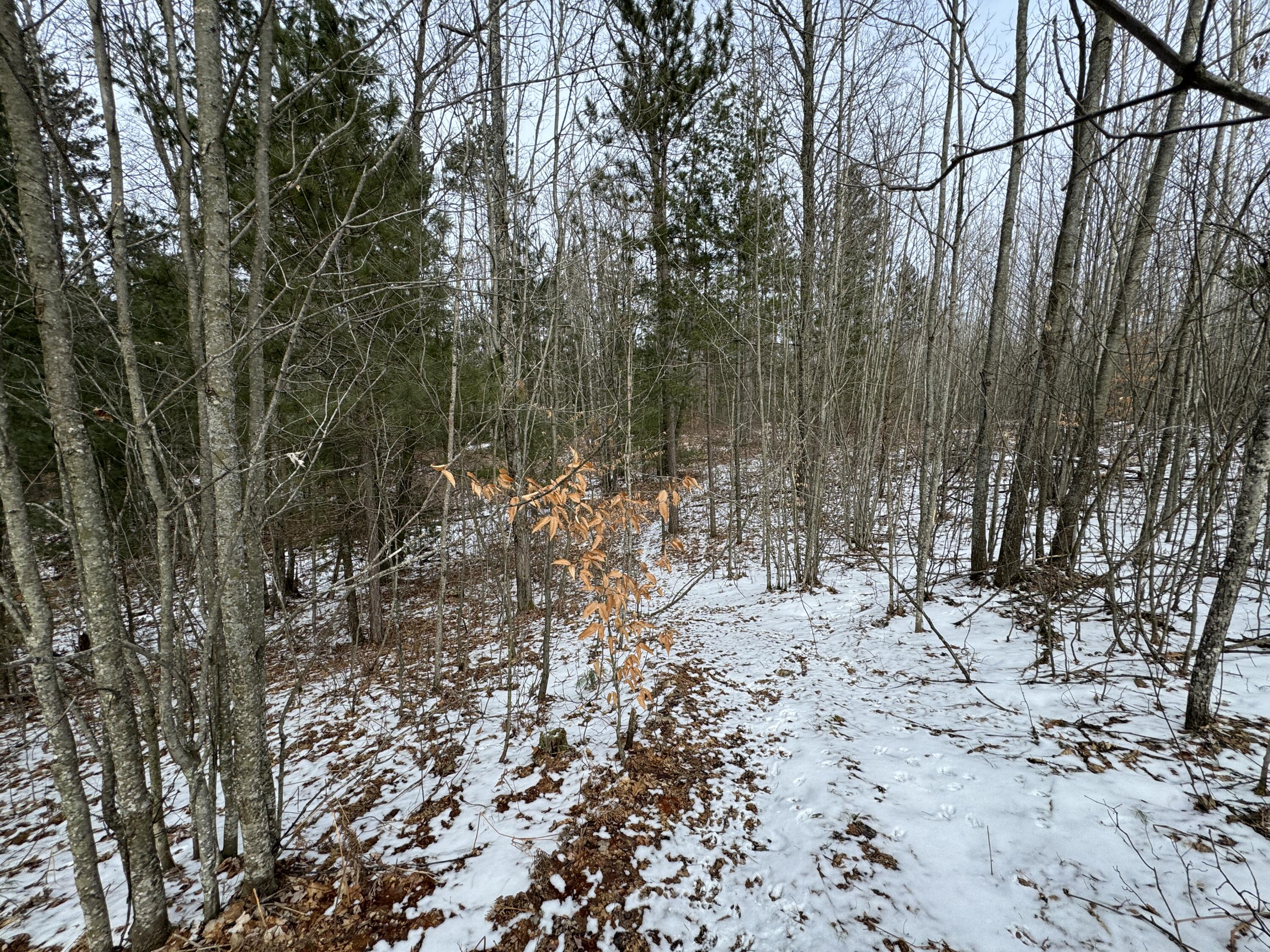 3010 Mt Tom Road Mio, MI 48647 - Photo 72 of 134 IMG_9136