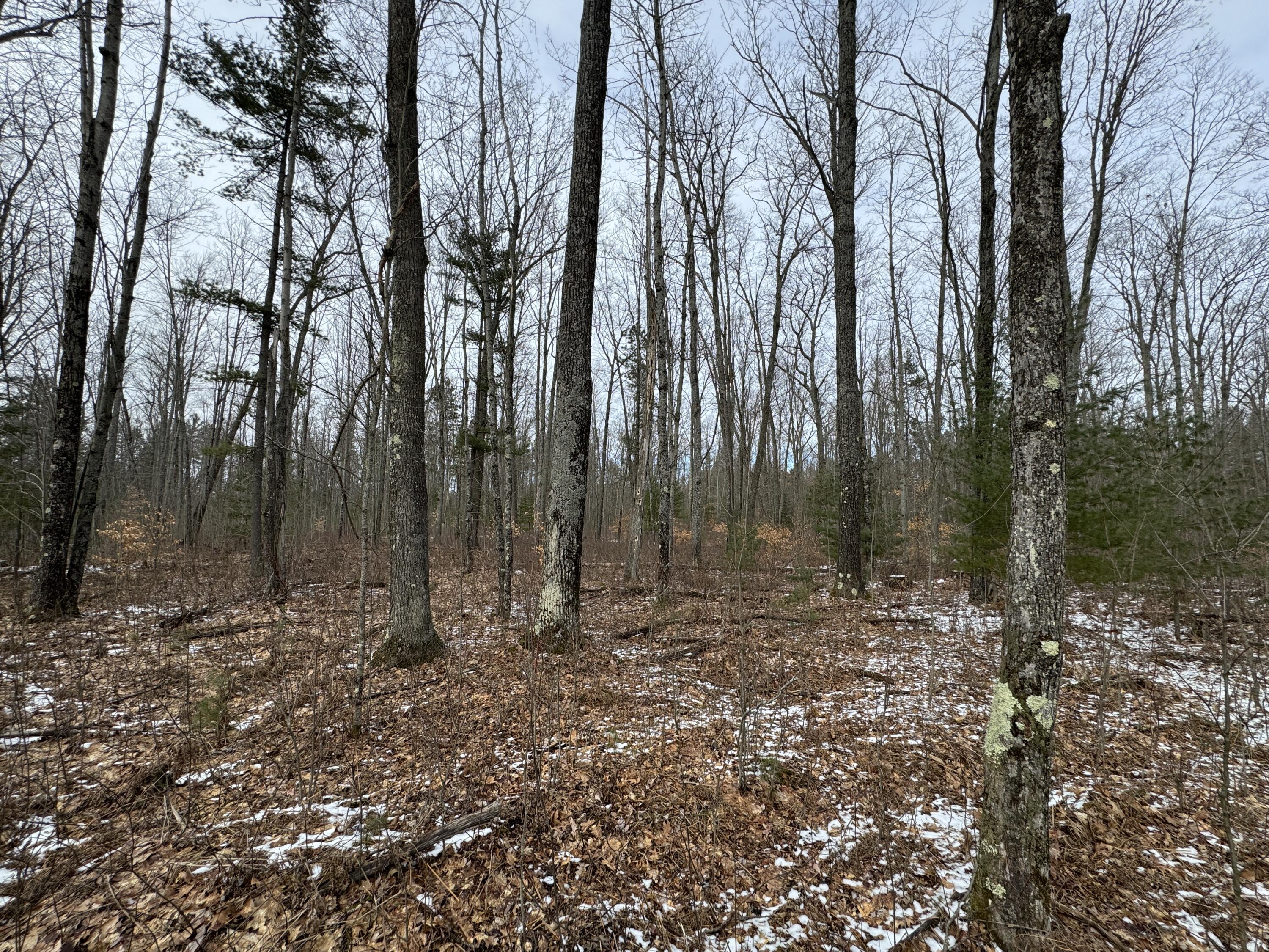 3010 Mt Tom Road Mio, MI 48647 - Photo 82 of 134 IMG_9148