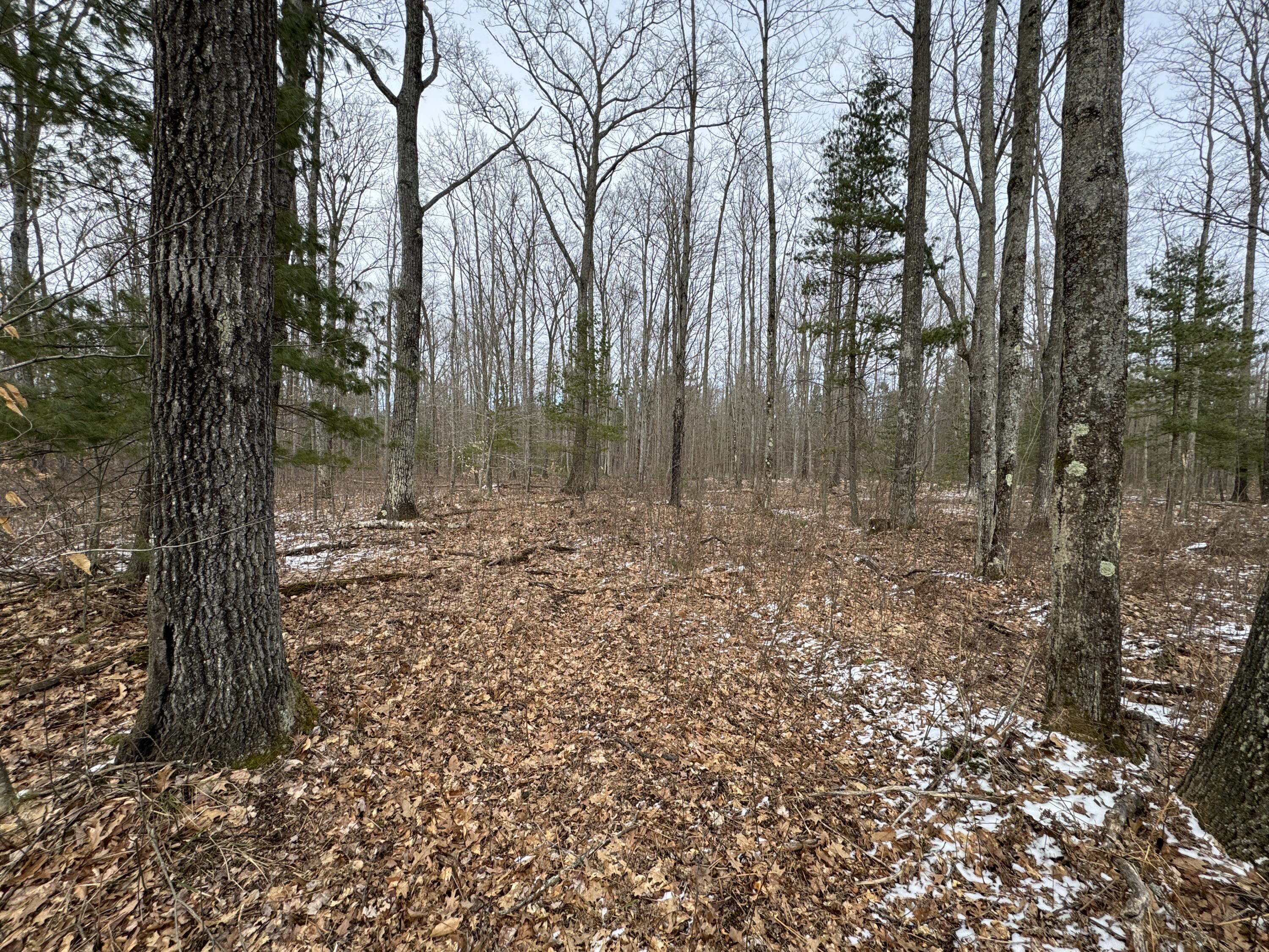 3010 Mt Tom Road Mio, MI 48647 - Photo 84 of 134 IMG_9150