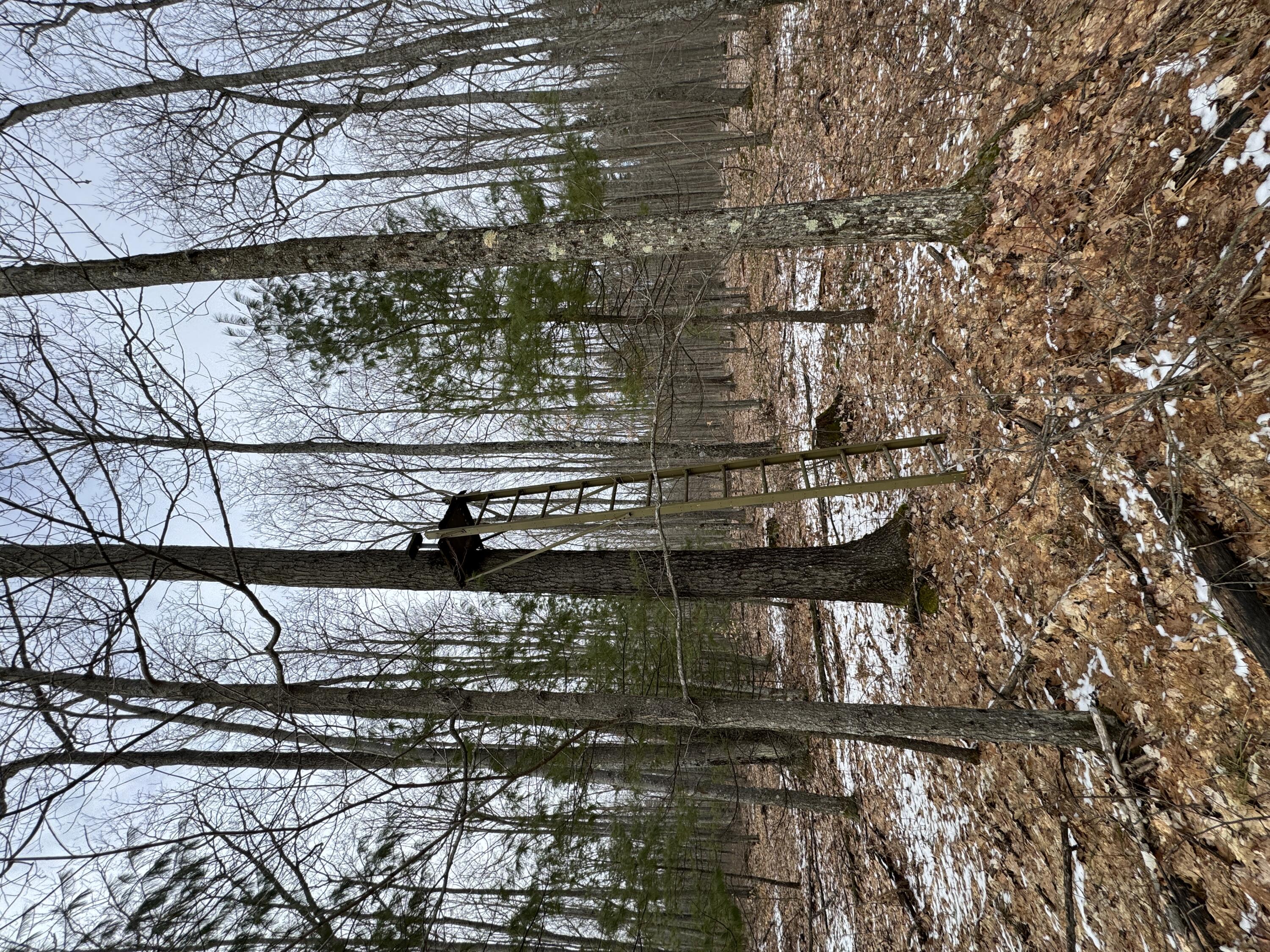 3010 Mt Tom Road Mio, MI 48647 - Photo 87 of 134 IMG_9153