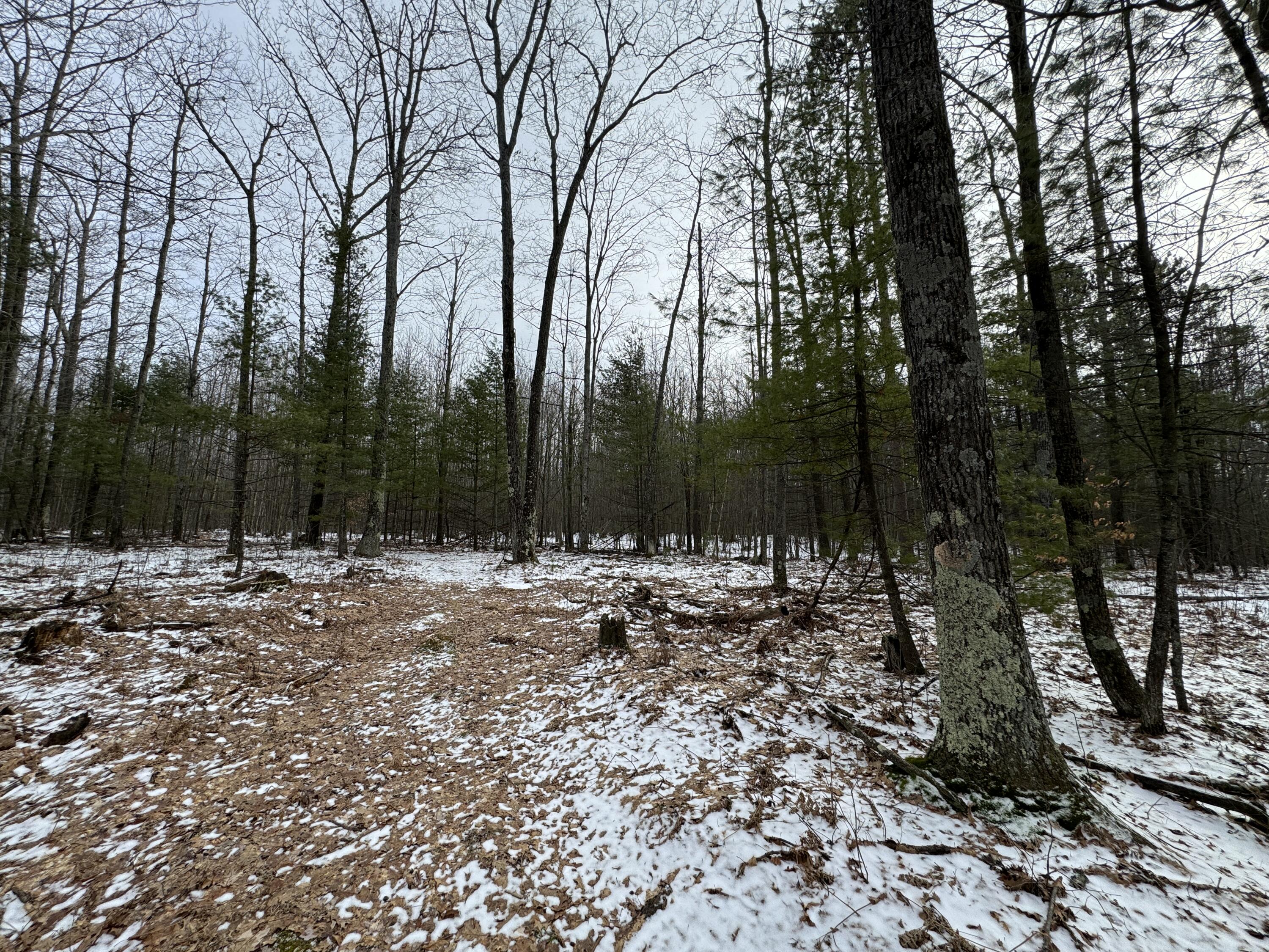 3010 Mt Tom Road Mio, MI 48647 - Photo 88 of 134 IMG_9154