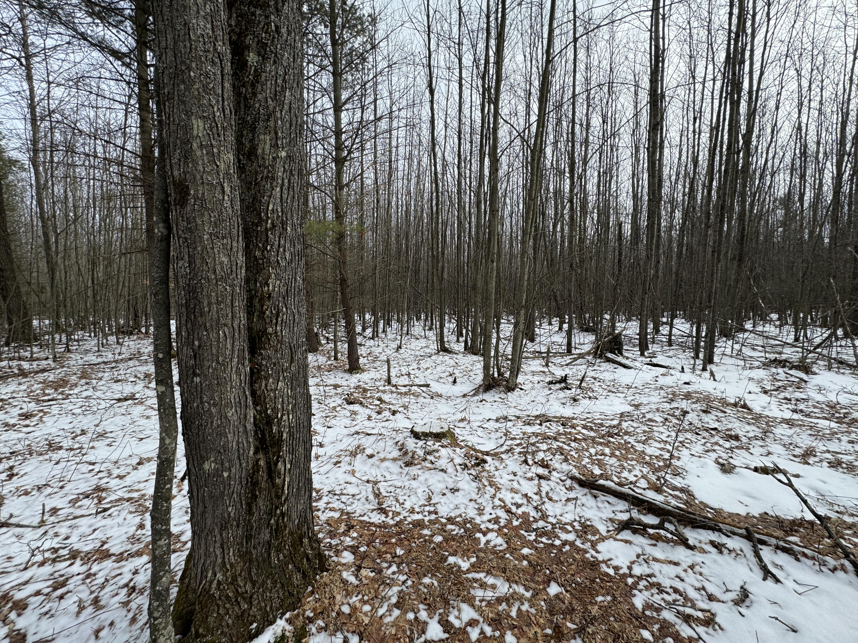 3010 Mt Tom Road Mio, MI 48647 - Photo 92 of 134 IMG_9158