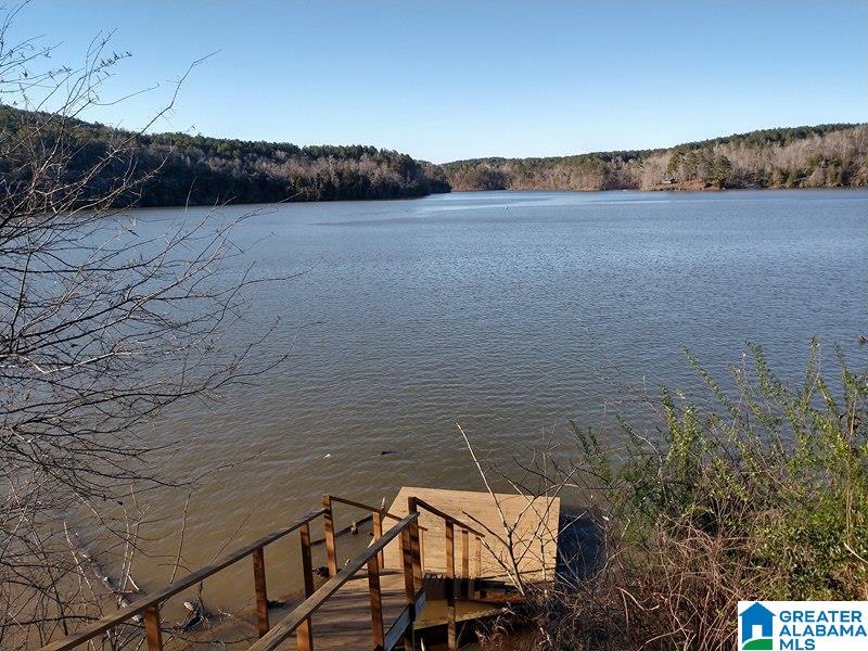 8781 Smith Camp Road Adger, AL 35006 - Photo 3 of 12