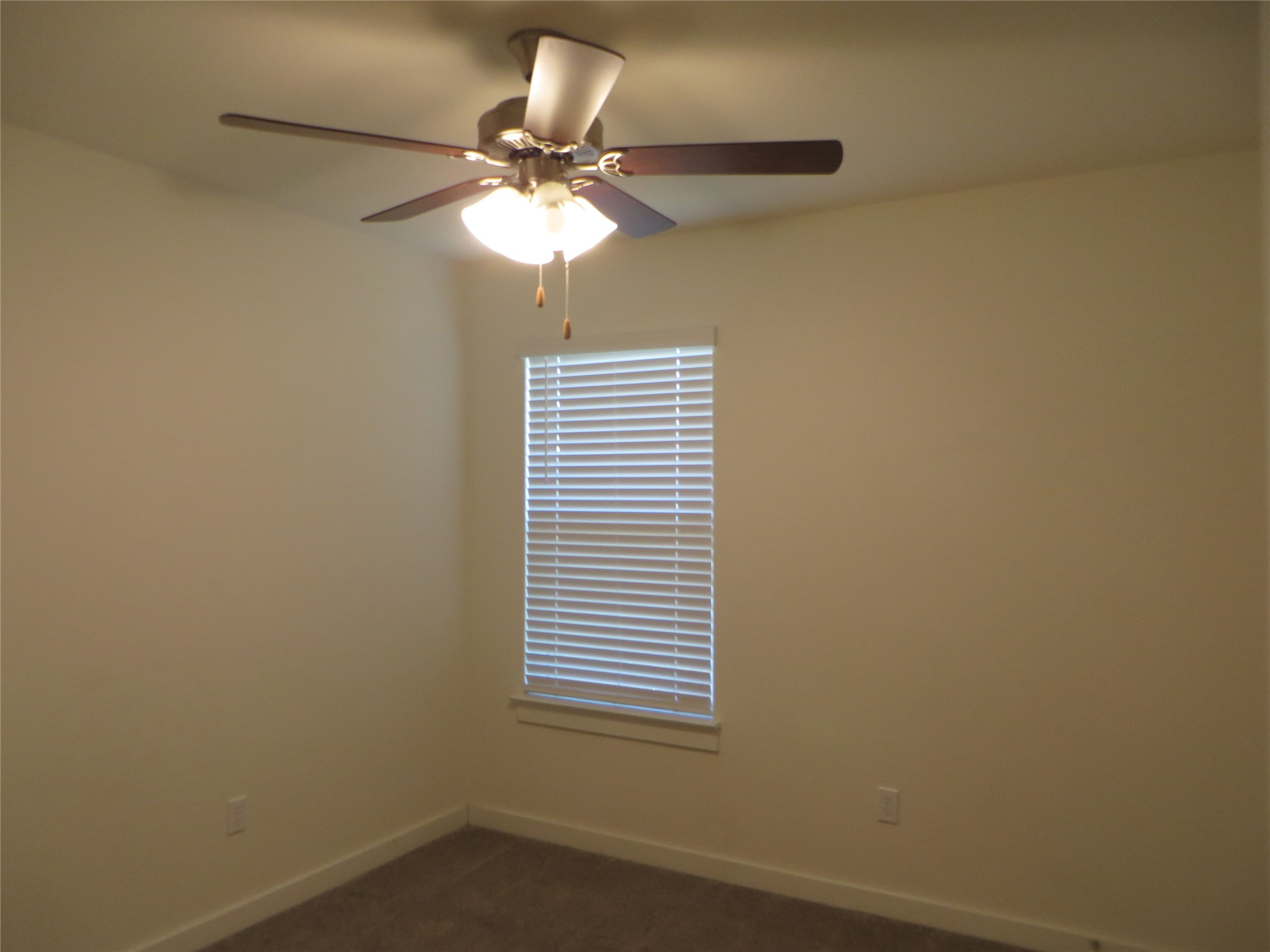 217 Gidran Trail Georgetown, TX 78626 - Photo 23 of 24